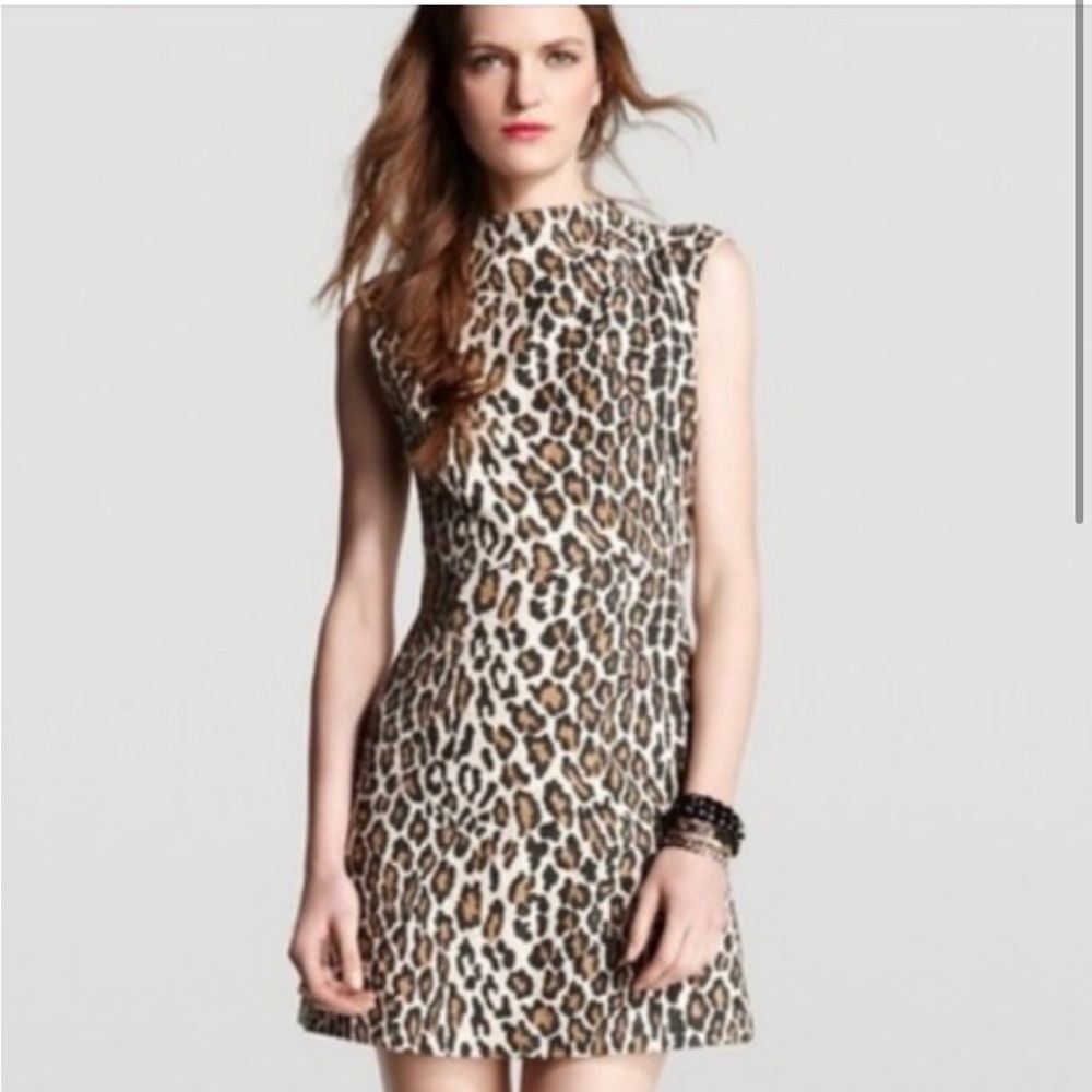 Alice + Olivia Coco Funnel Neck A-Line Dress cheetah leopard spot dress